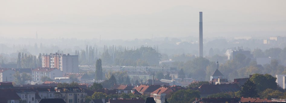 header ozon