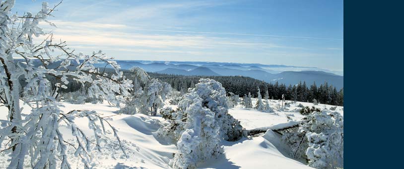 schwarzwald